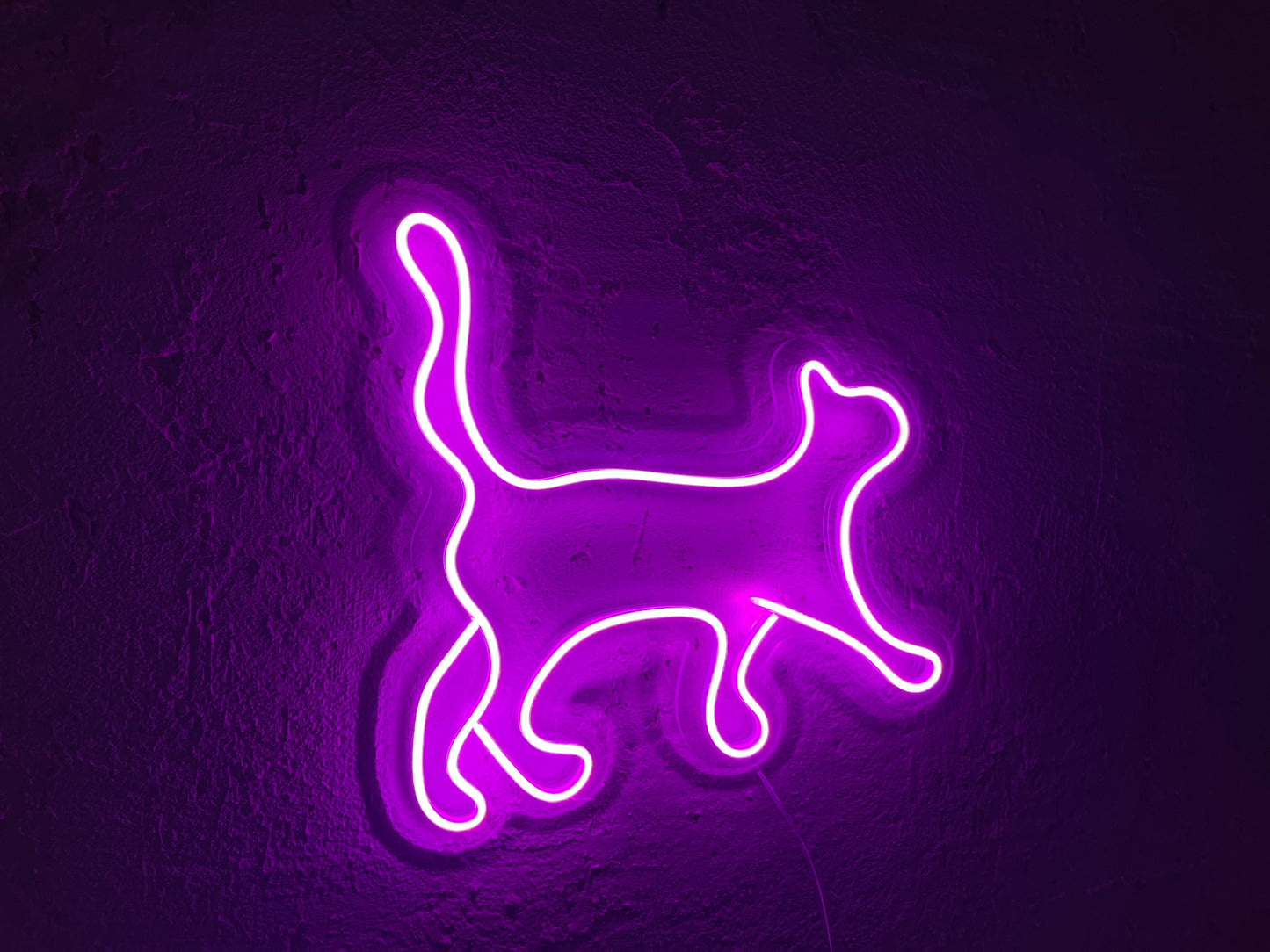 Neon Kedi Silüeti Dekor