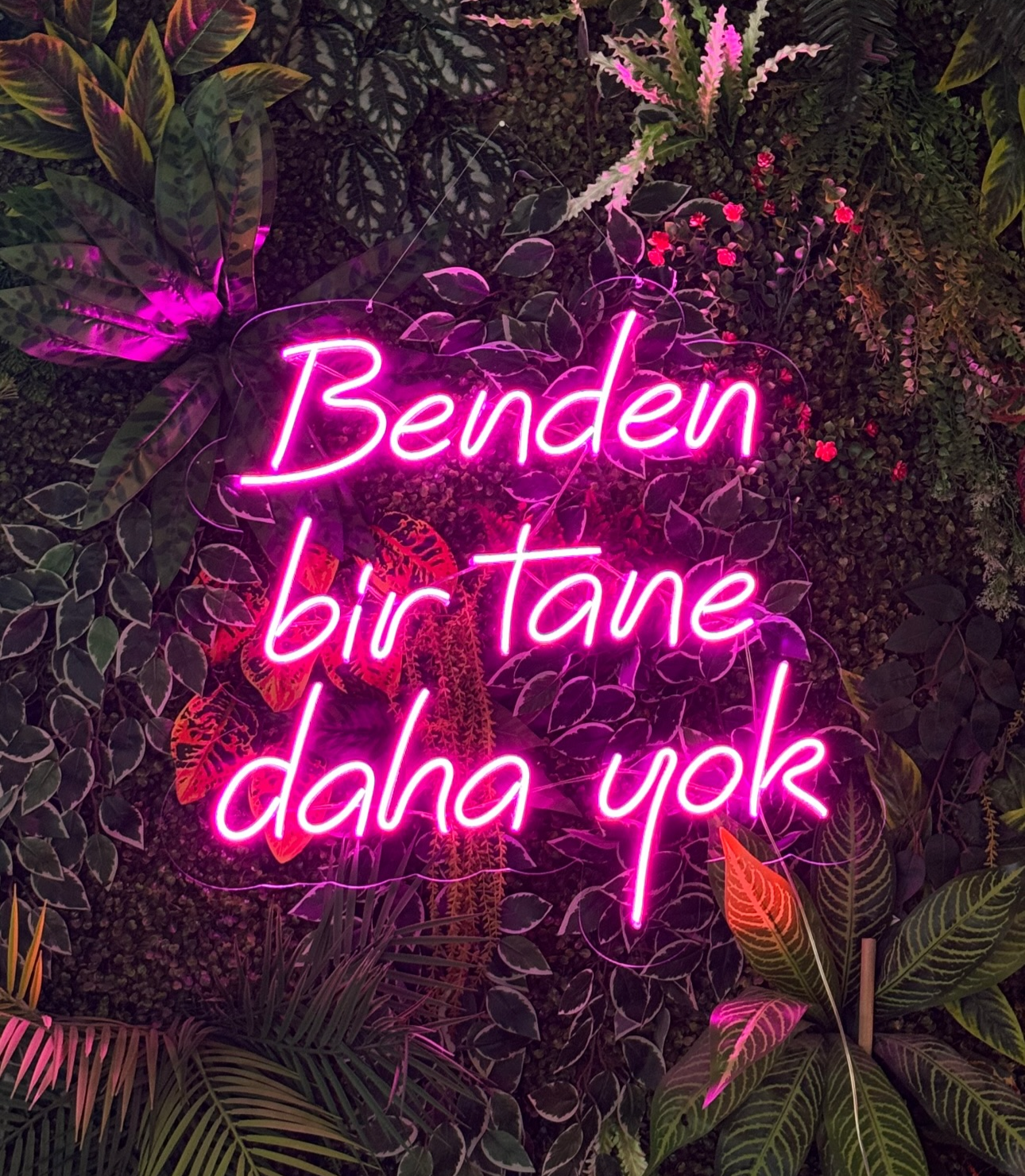 Benden bi tane daha yok - Neon Tabela