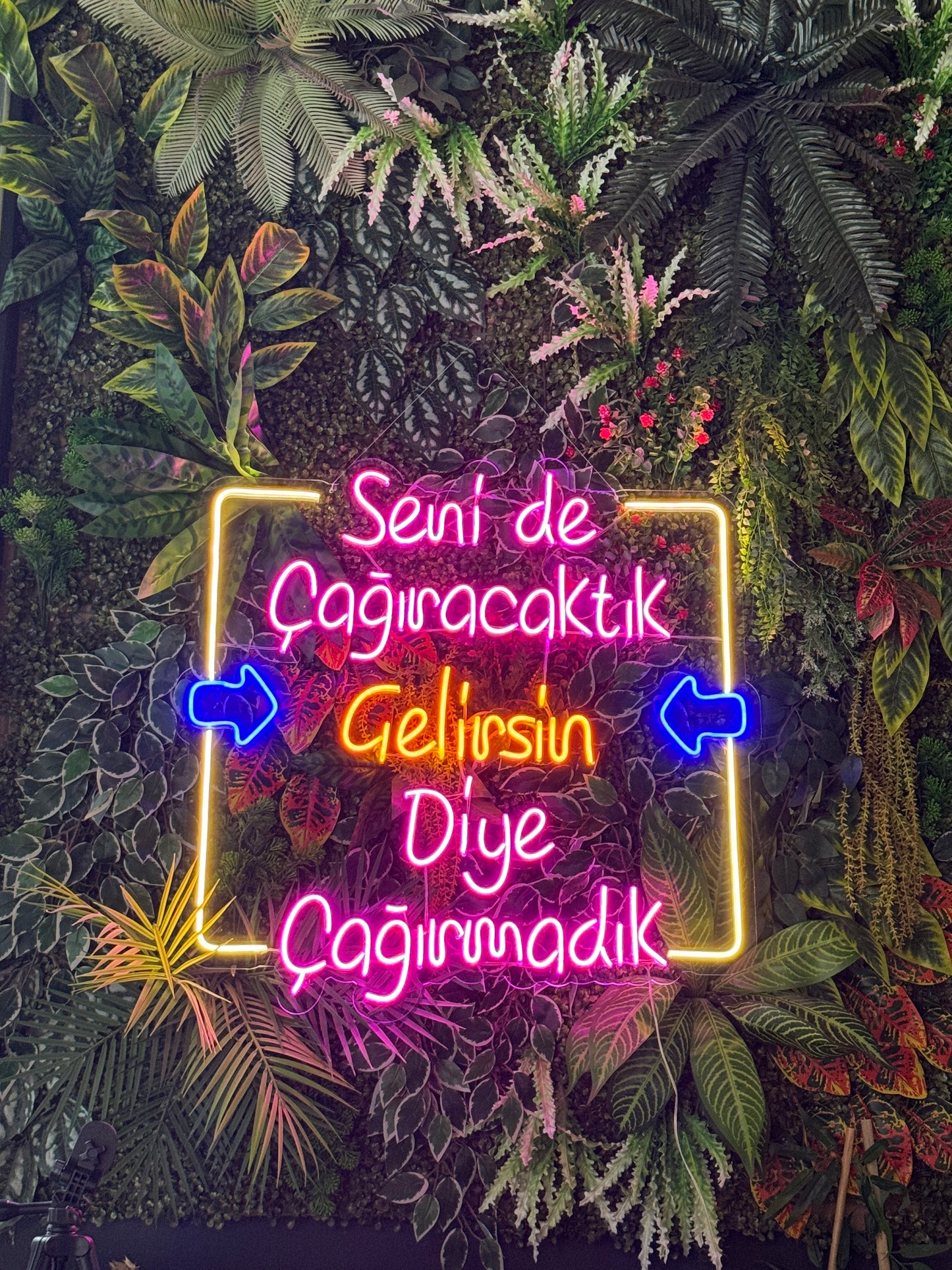 Seni de Çağıracaktık - Neon Tabela