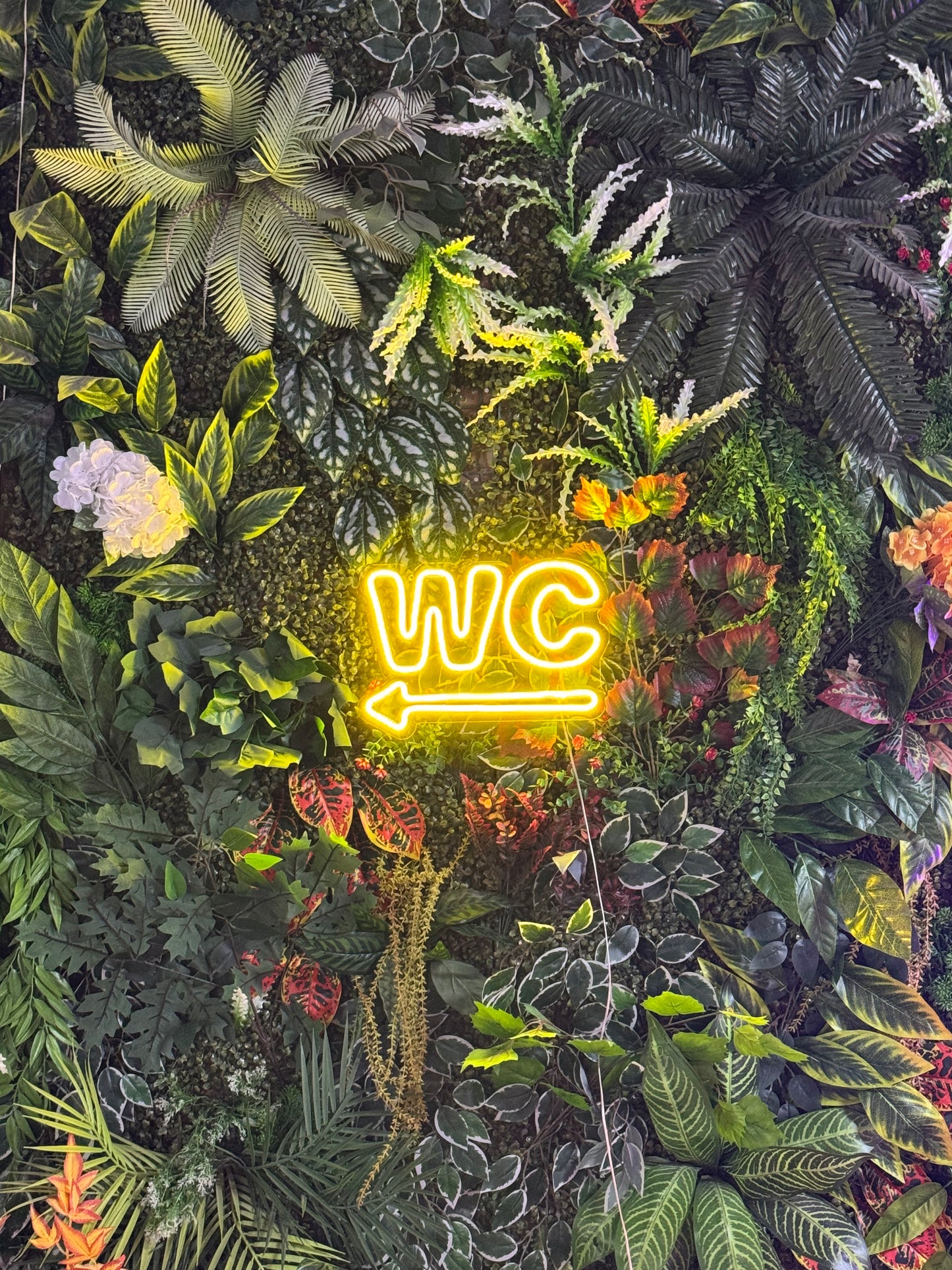 WC Neon Tabela