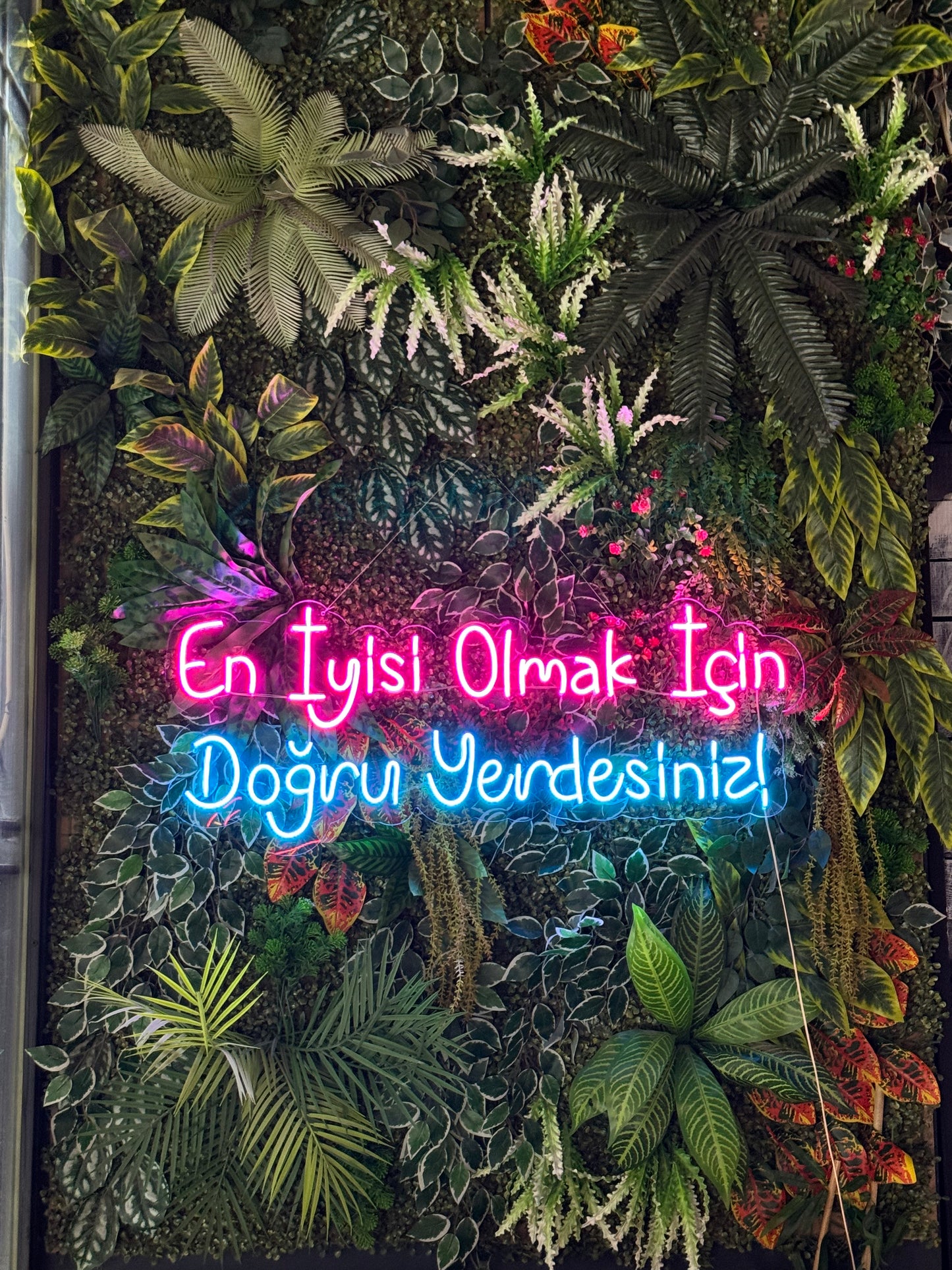 En İyisi Olmak İçin Doğru Yerdesiniz - Neon Tabela