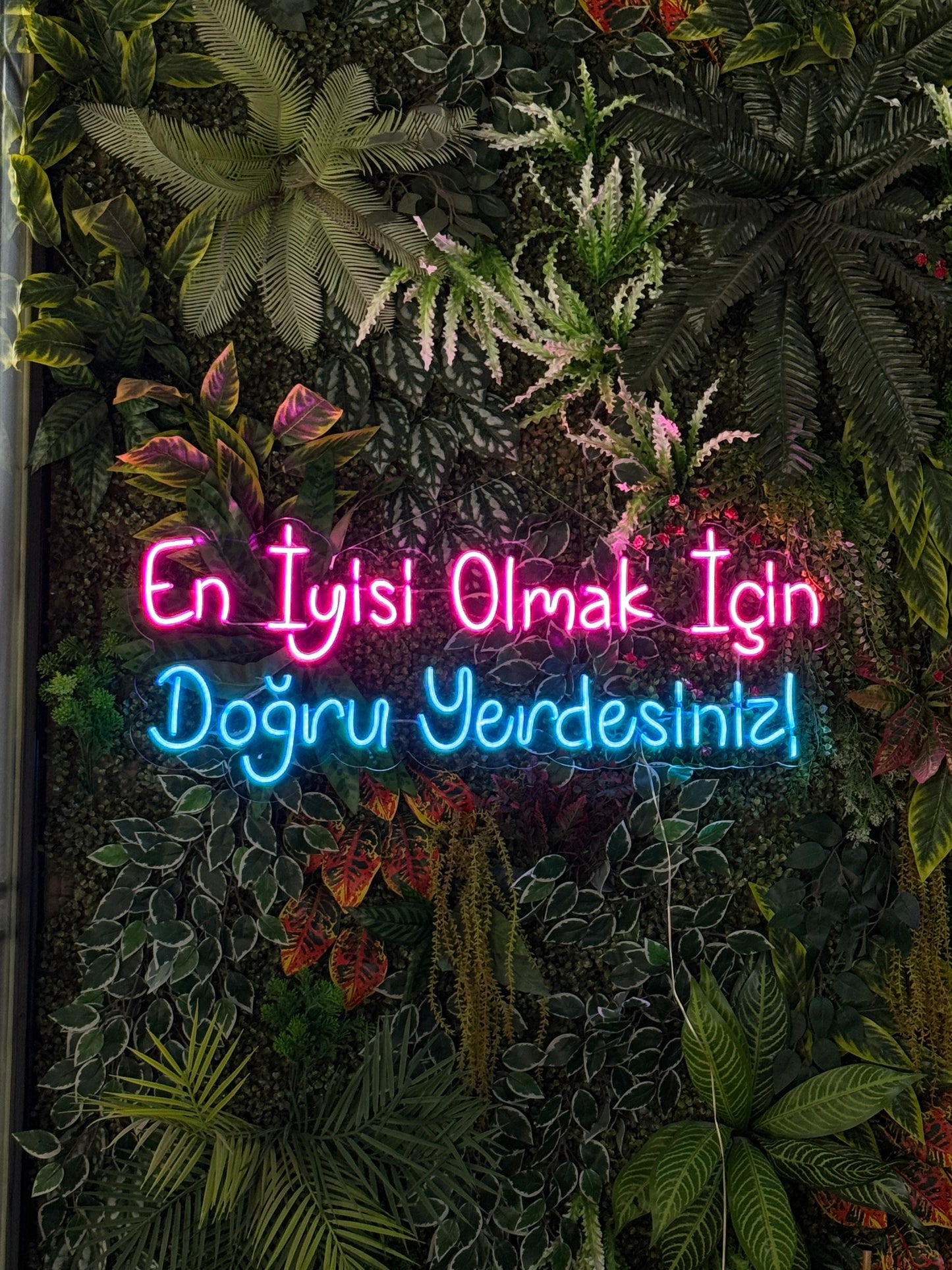 En İyisi Olmak İçin Doğru Yerdesiniz - Neon Tabela