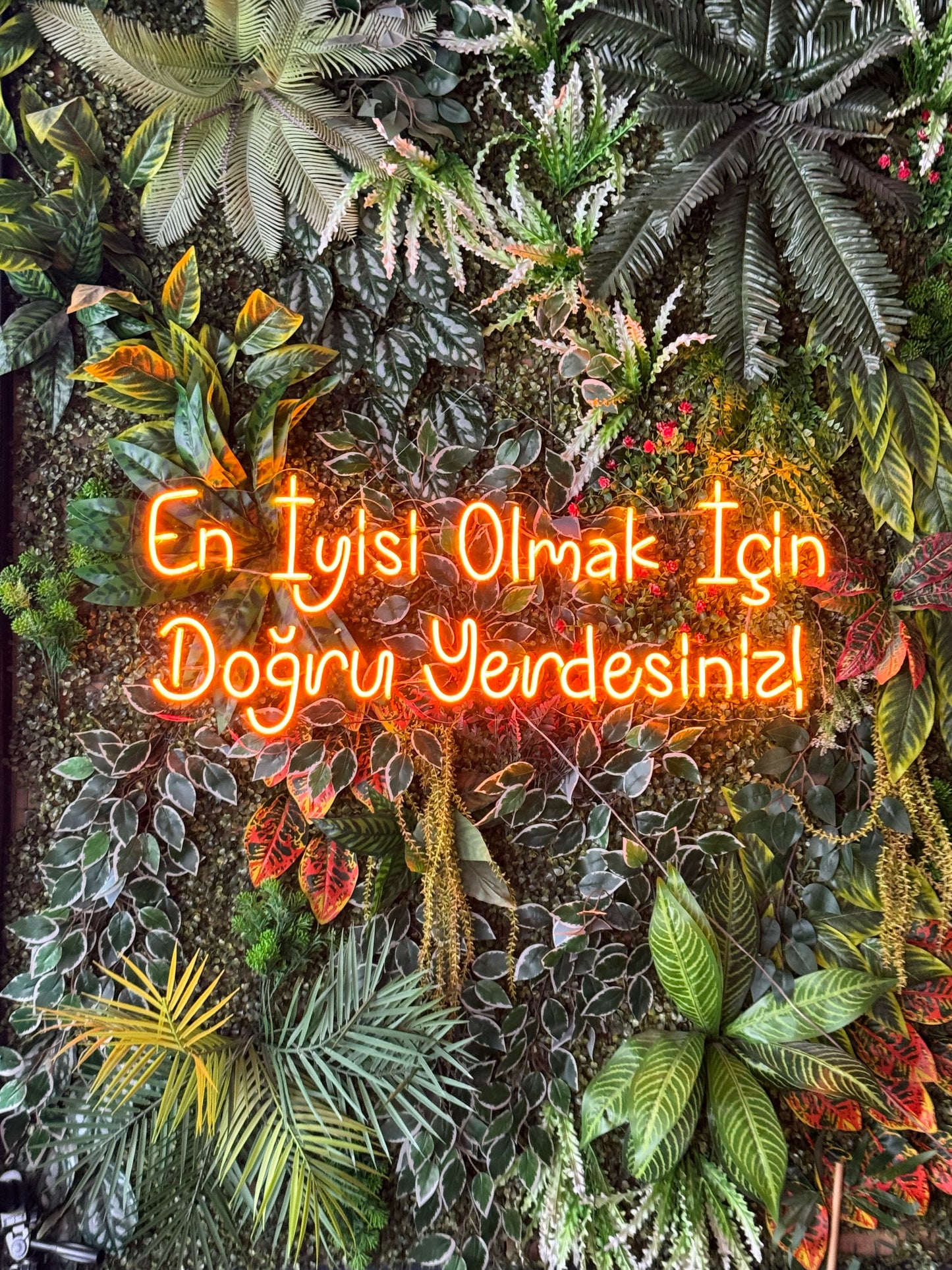 En İyisi Olmak İçin Doğru Yerdesiniz - Neon Tabela