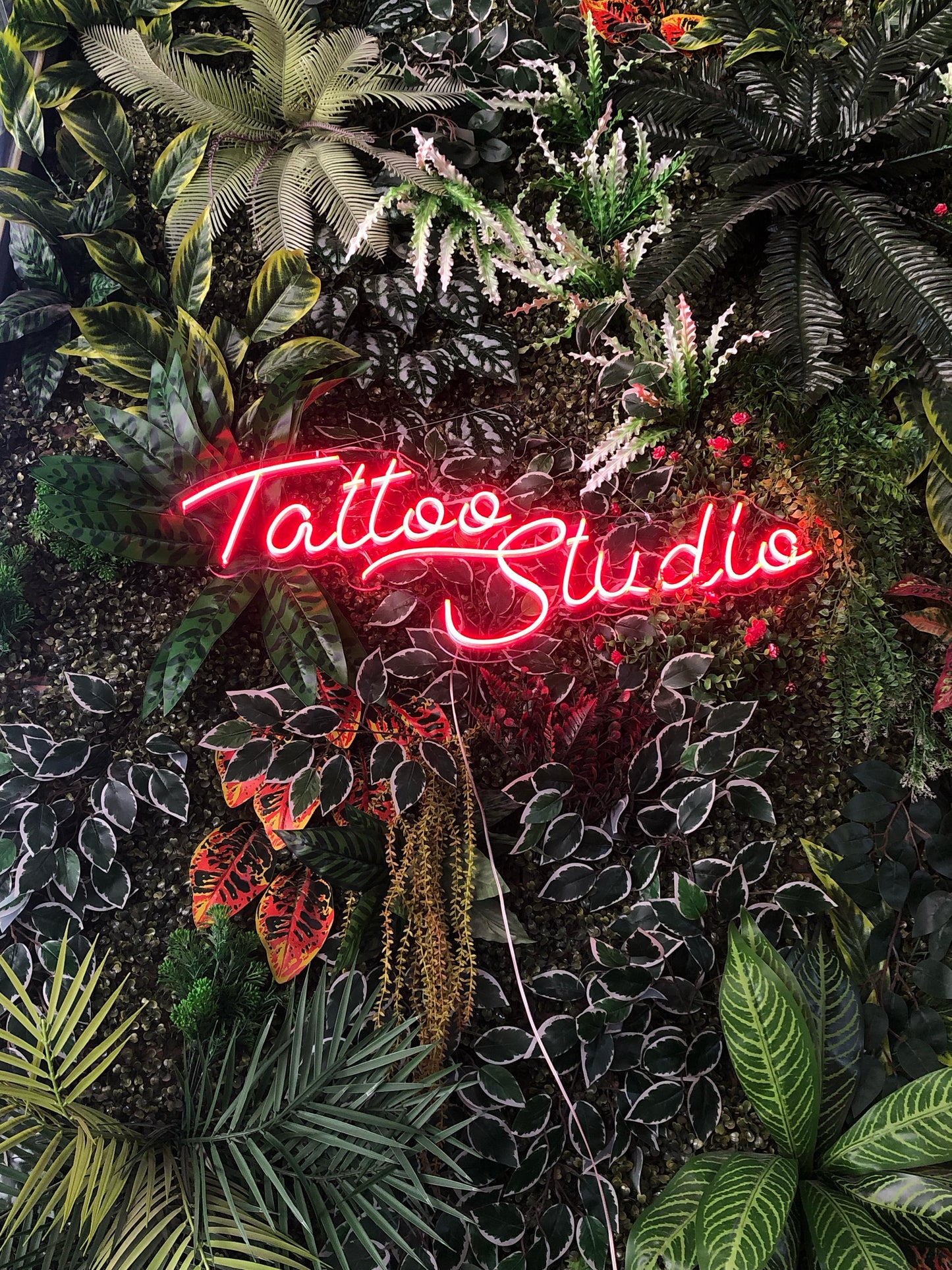 Tattoo Studio - Neon Tabela