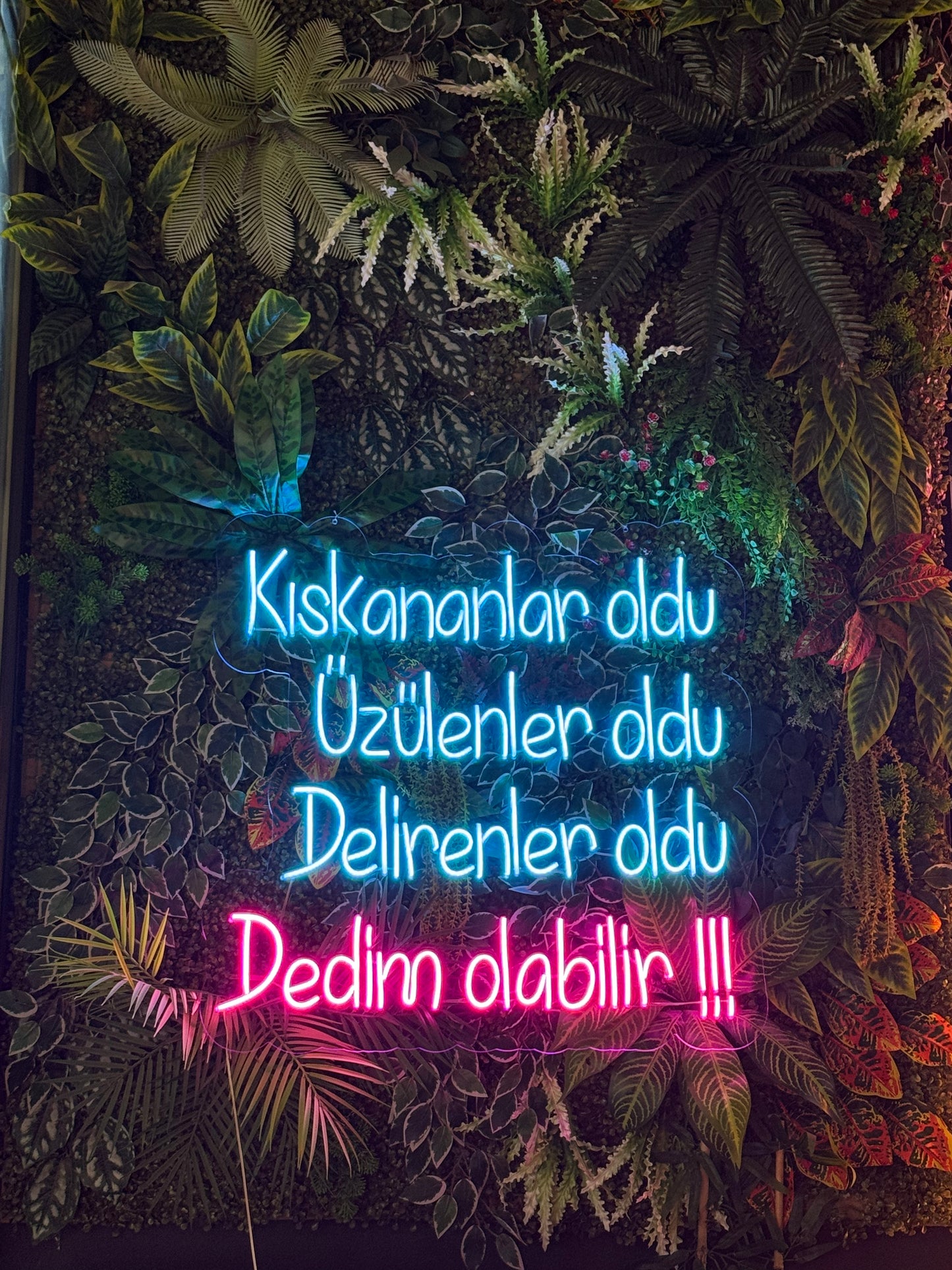 Kıskananlar Oldu - Neon Tabela