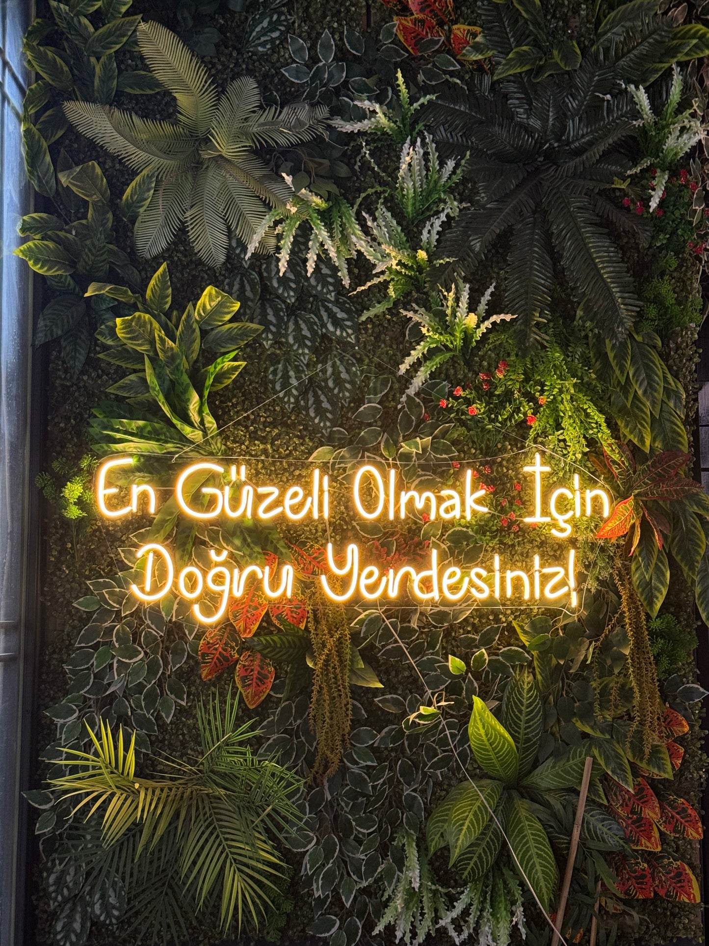 "En Güzeli Olmak İçin Doğru Yerdesiniz" Neon Tabela