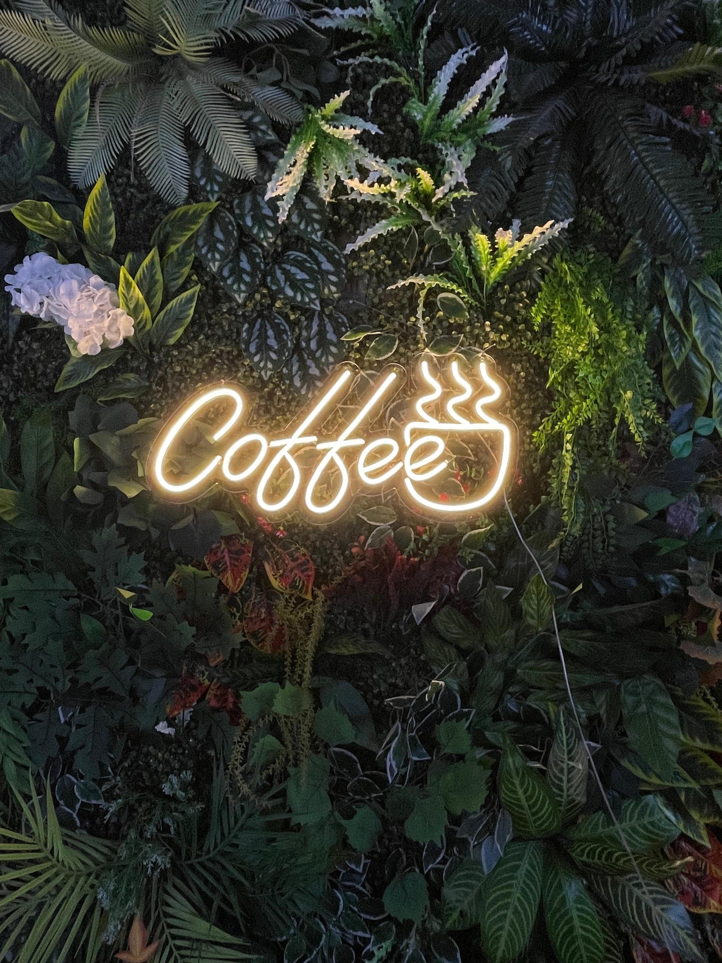 Coffee Neon Yazı