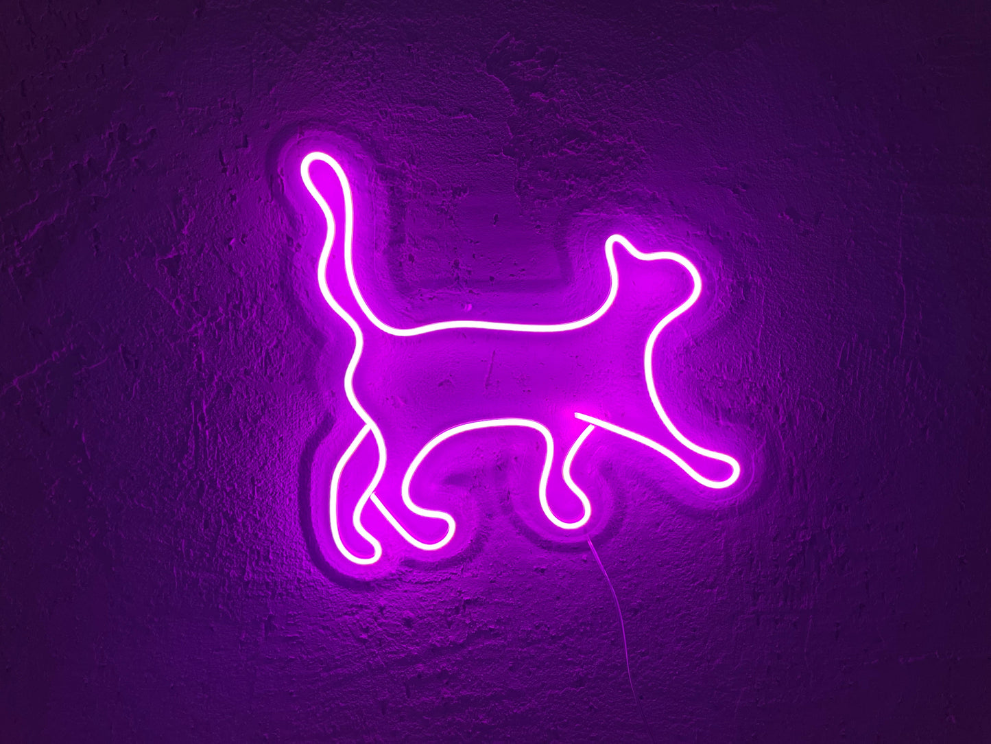 Neon Kedi Silüeti Dekor