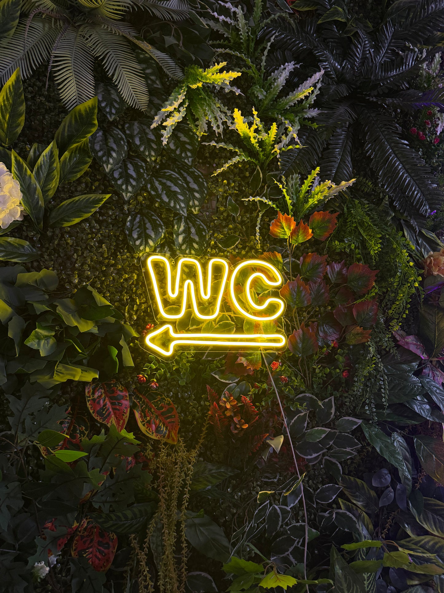 WC Neon Tabela