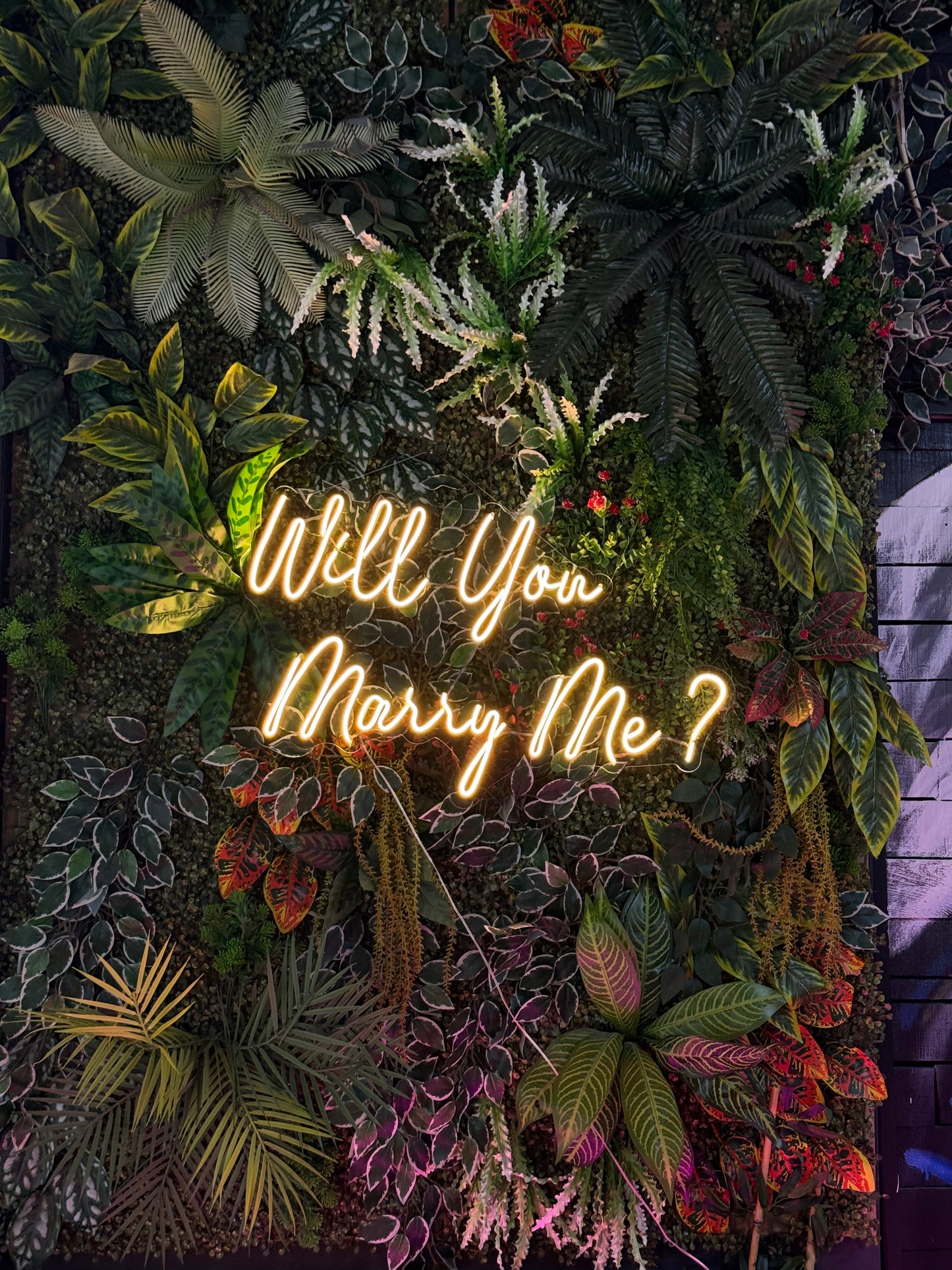Will You Marry Me - Neon Tabela