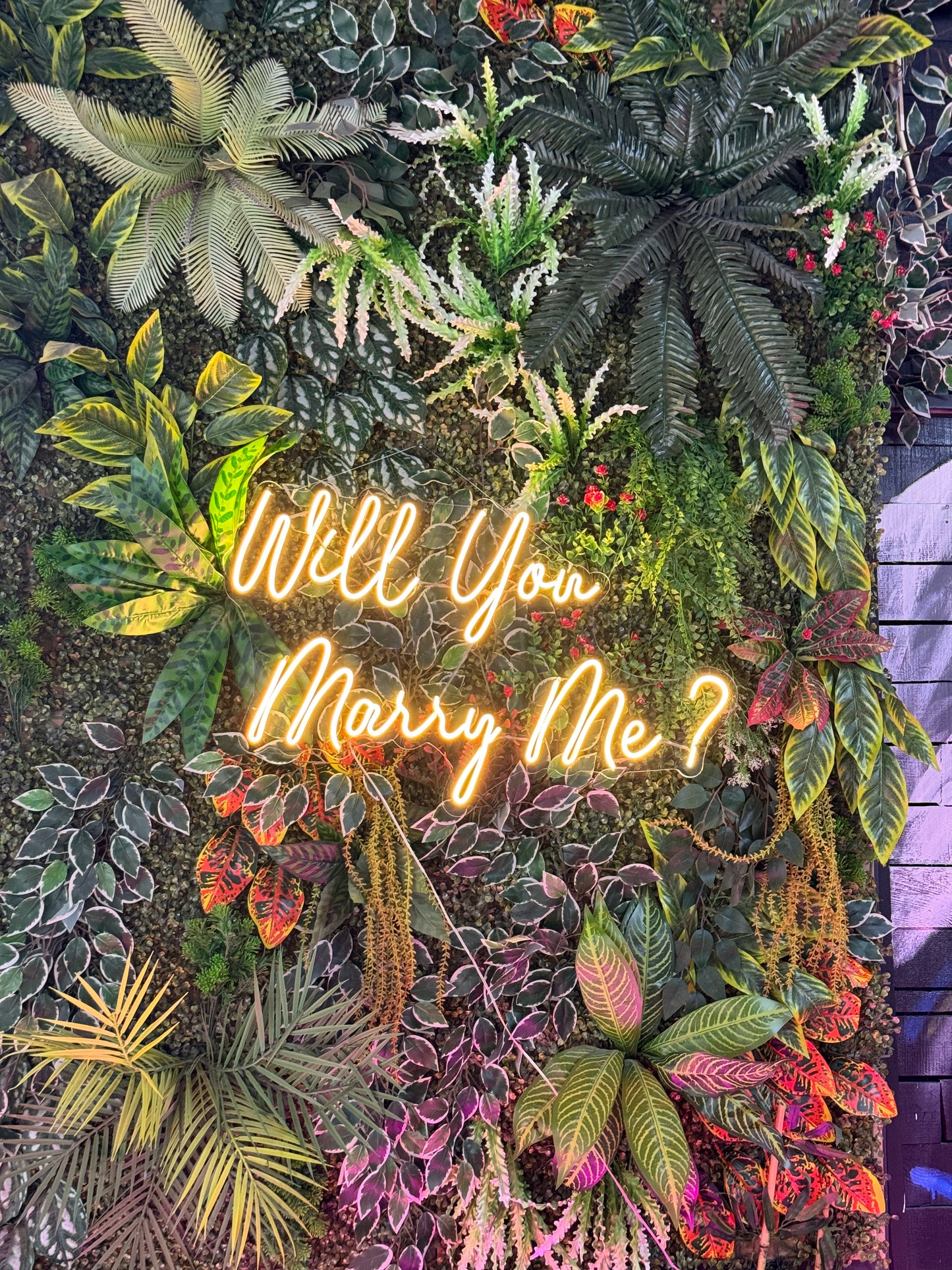 Will You Marry Me - Neon Tabela
