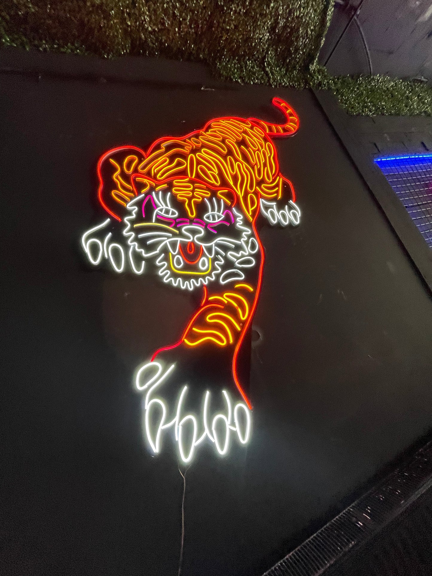 Tiger Neon Dekor