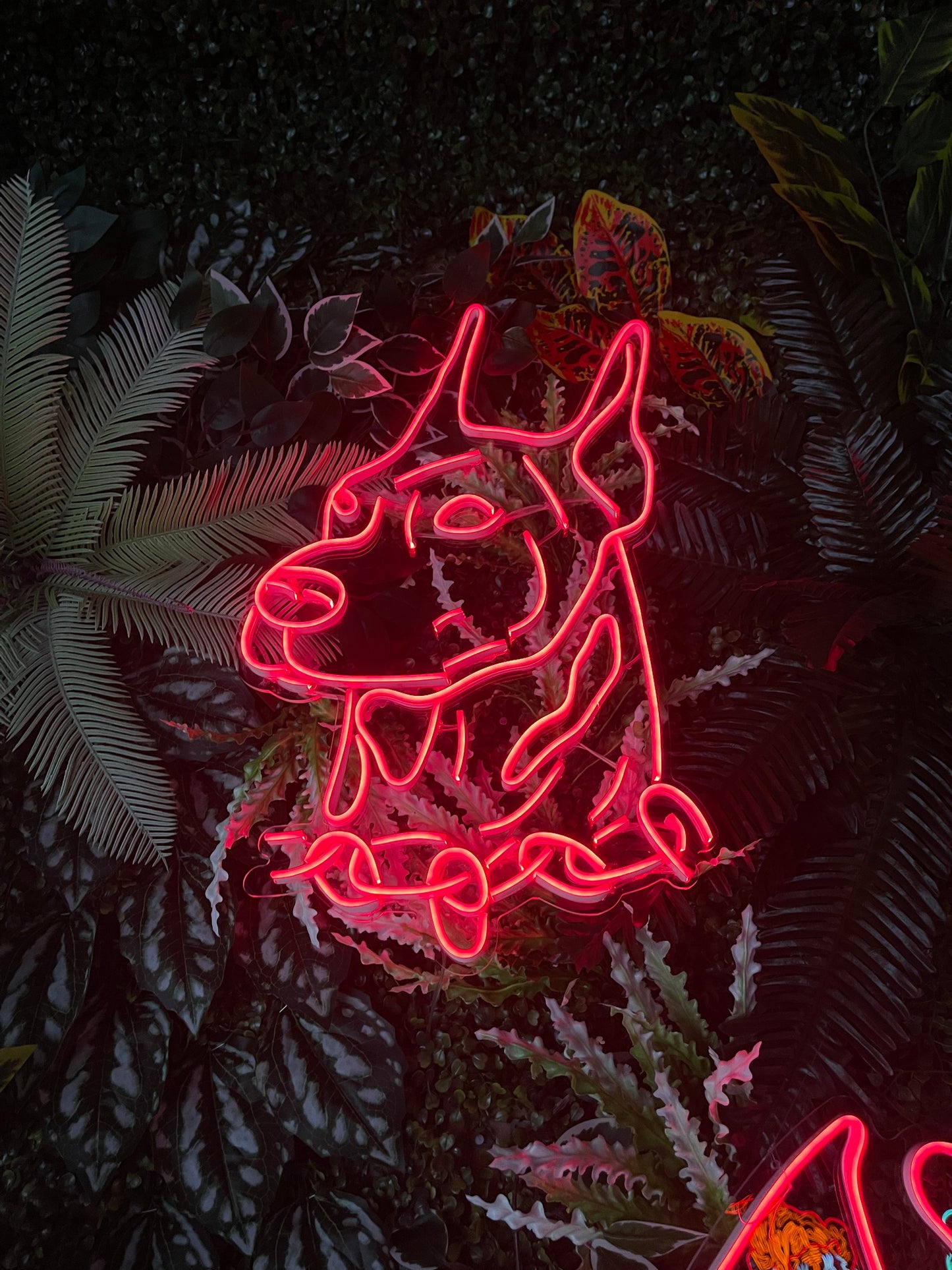 Köpek Neon Dekor