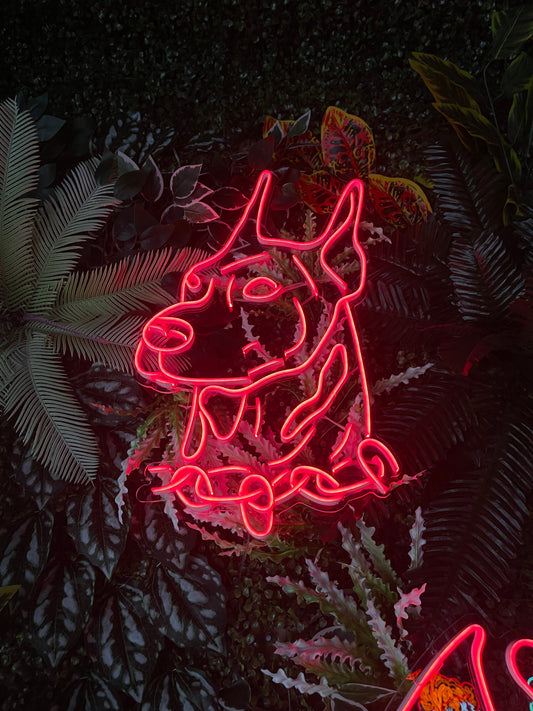 Köpek Neon Dekor