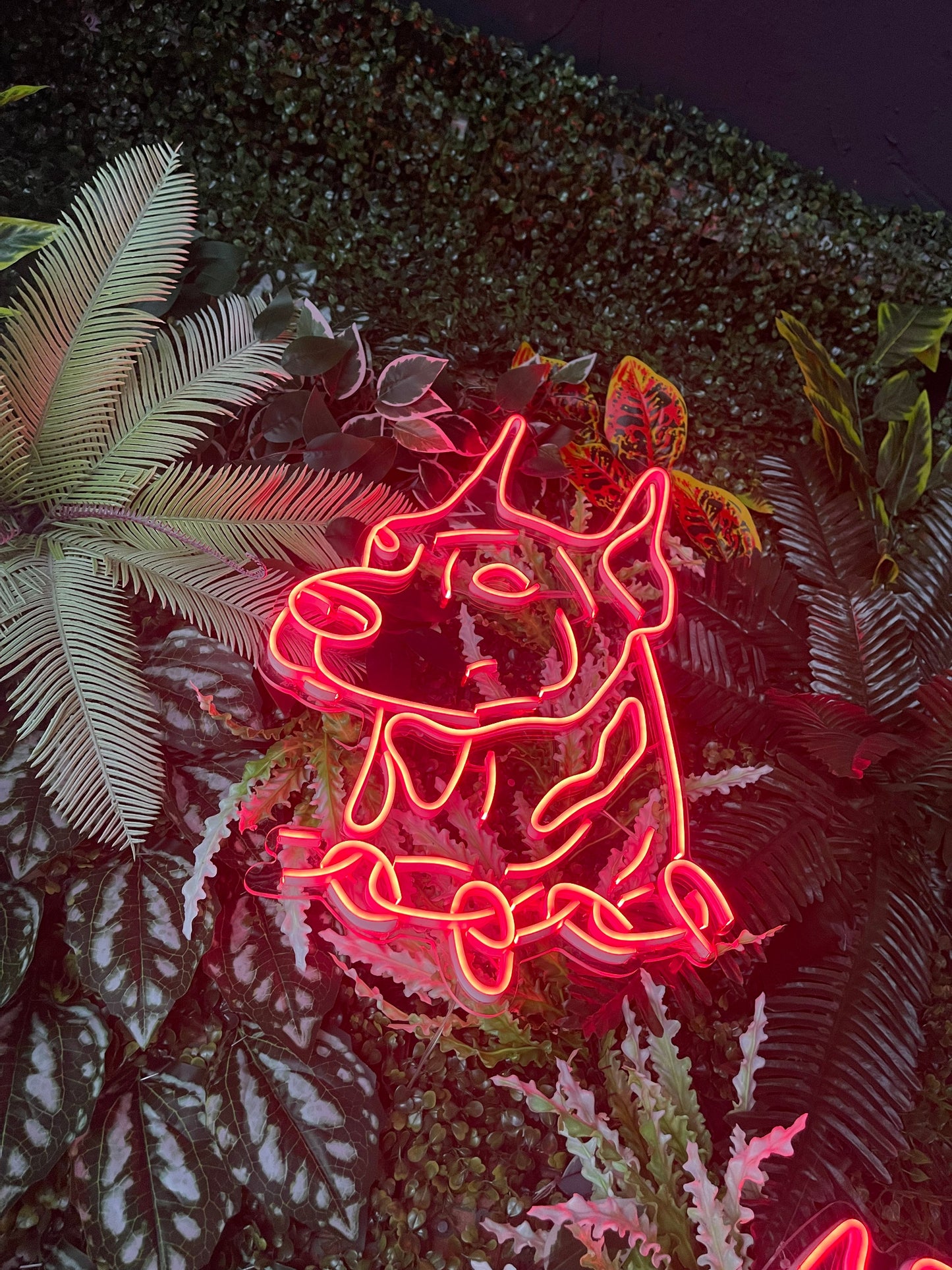 Köpek Neon Dekor