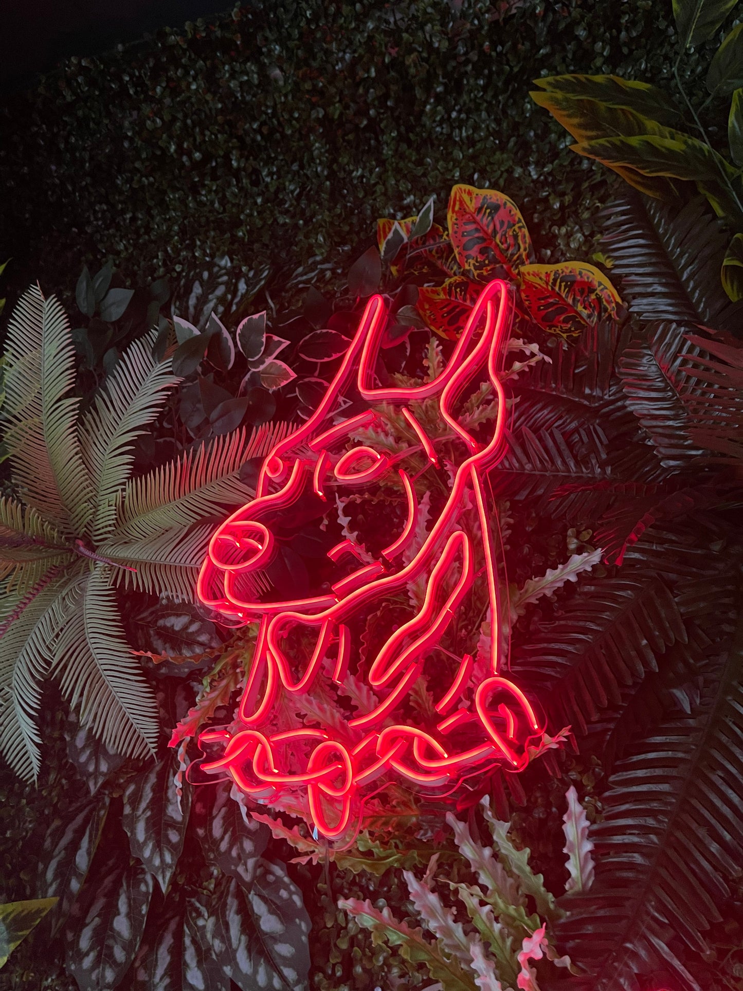 Köpek Neon Dekor