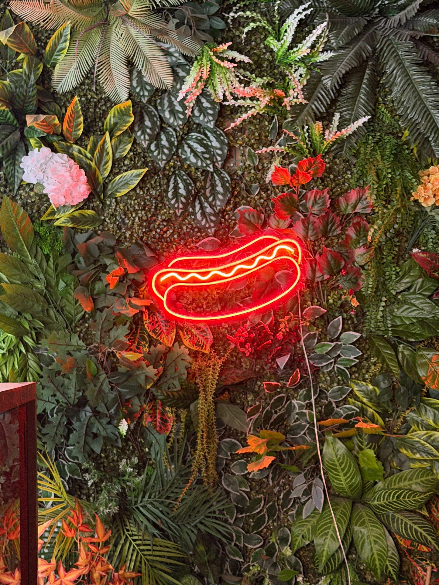 Hatdog Fast Food Neon Tabela