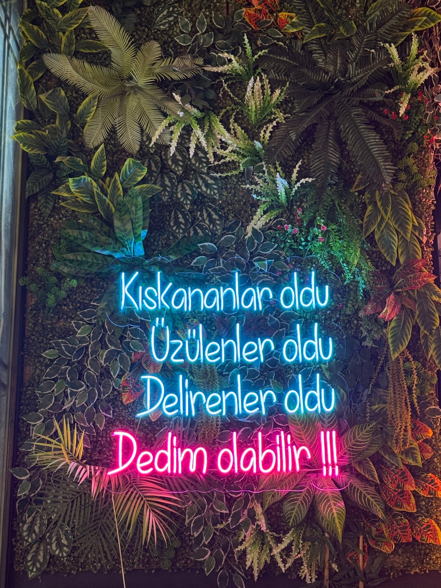 Kıskananlar Oldu - Neon Tabela
