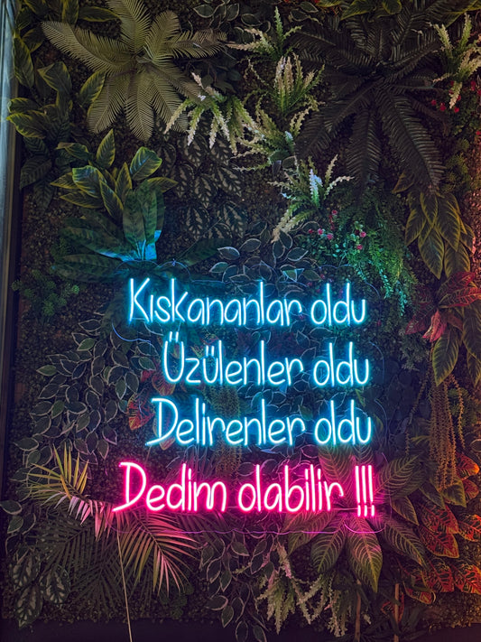 Kıskananlar Oldu - Neon Tabela