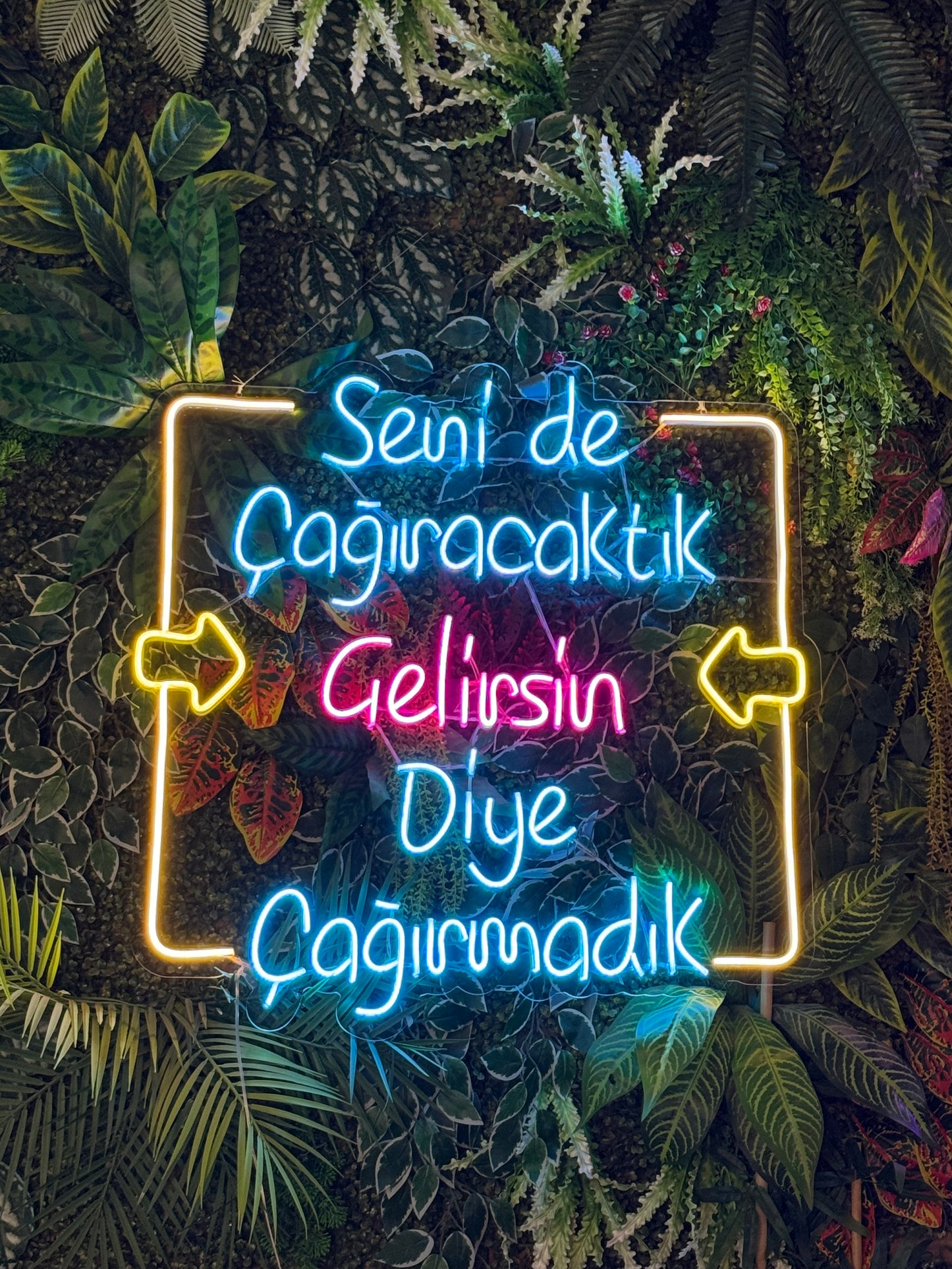 Seni de Çağıracaktık - Neon Tabela