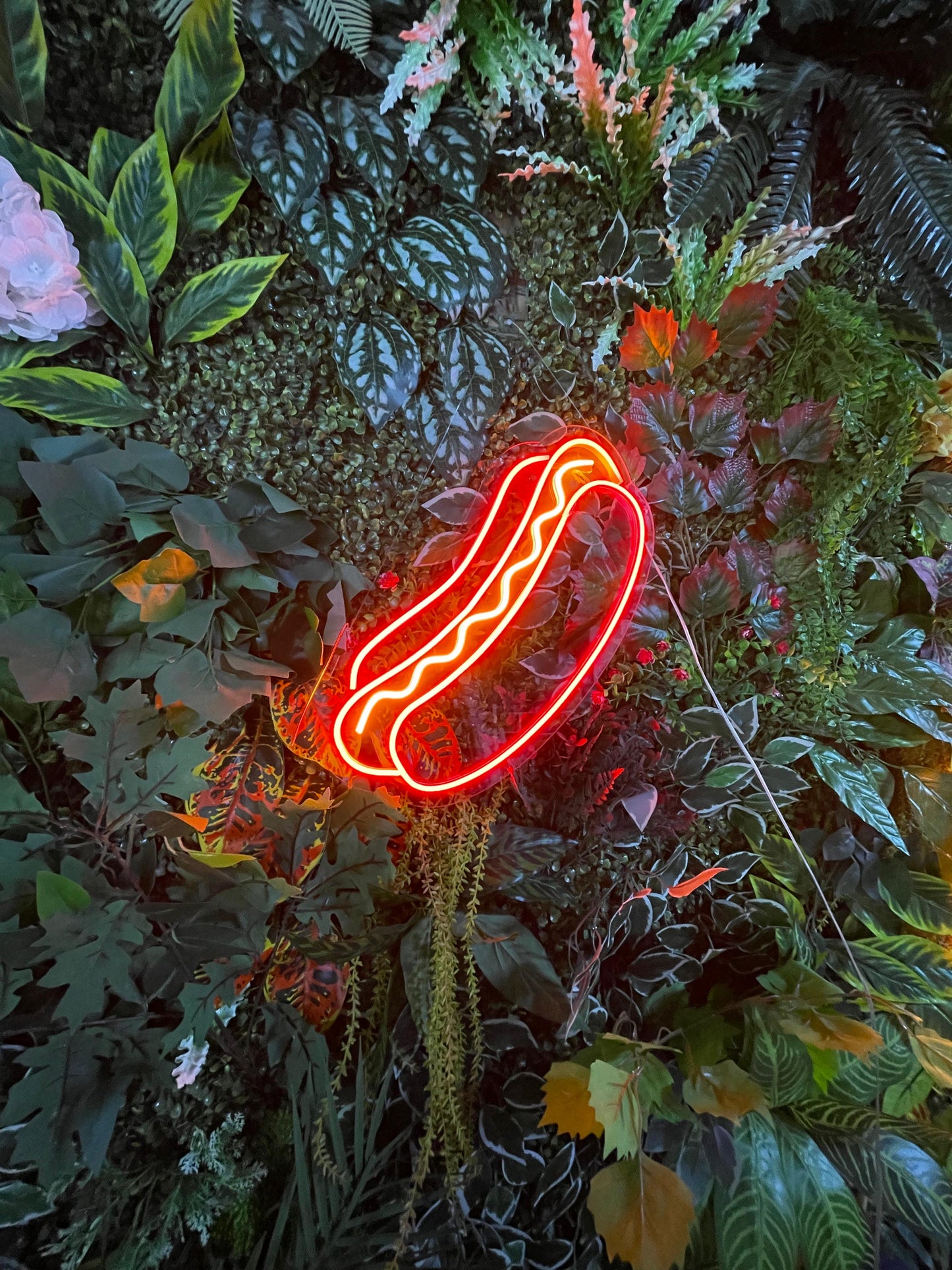 Hatdog Fast Food Neon Tabela
